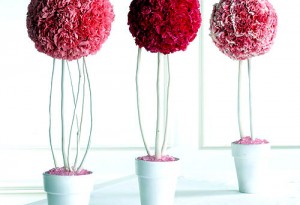 топиарий мастер класс